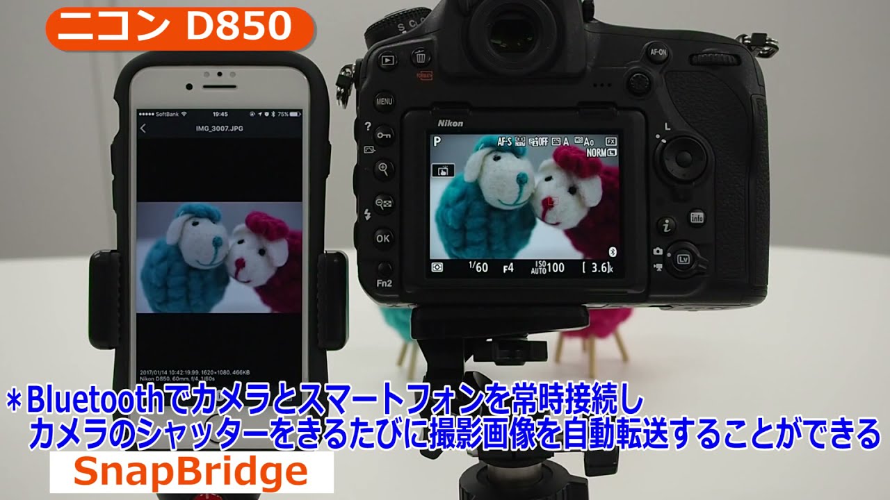 ニコン D850 （カメラのキタムラ動画_Nikon）