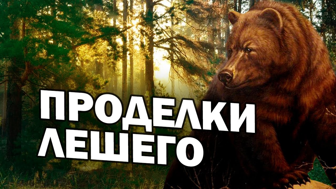 🐻/ПРОДЕЛКИ ЛЕШЕГО / ТАЕЖНОЕ ПРИКЛЮЧЕНИЕ/