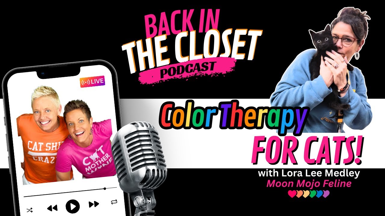 Цветотерапия для кошек с Лорой Ли Медли | Back In The Closet