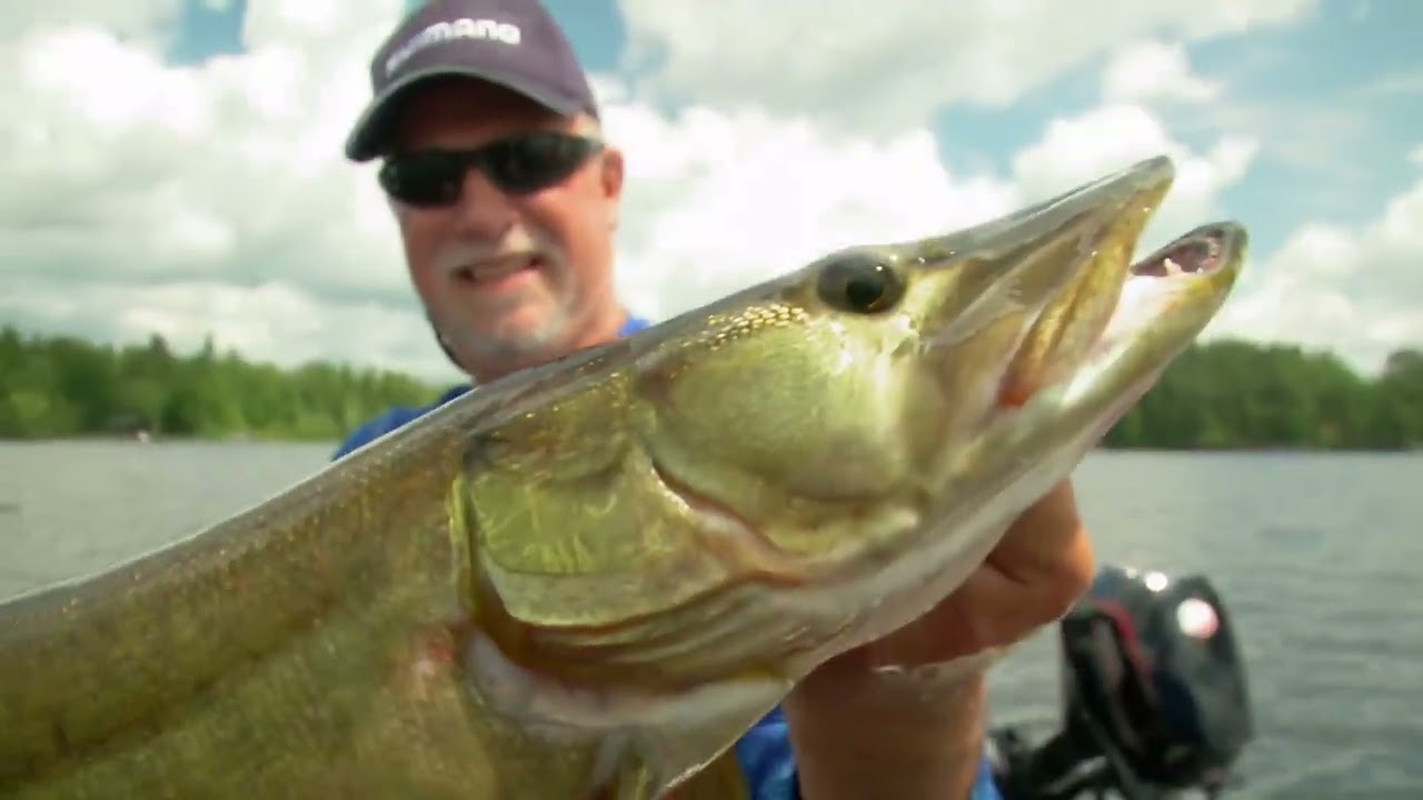 Northwoods Variety