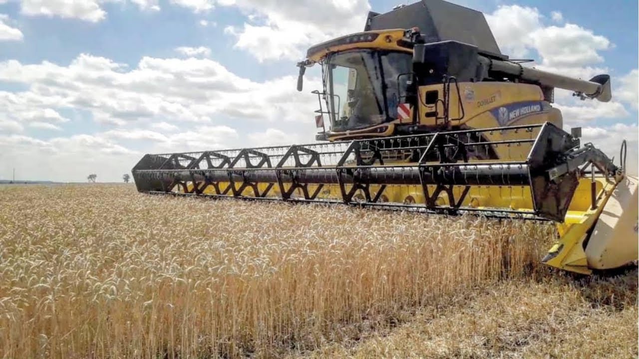 🇫🇷XL MOISSON 2020 | EURL LOISEAU New Holland CR9.80 11m | FENDT 939🌾