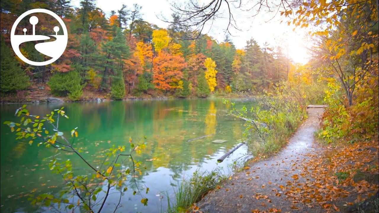 Relaxing Fall Forest Walk in the Rain Around a Green Lake - ASMR Binaural Nature Sounds
