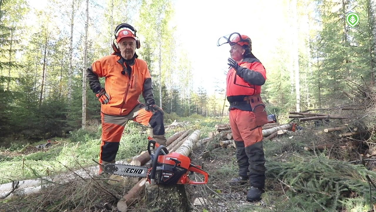 Yllättääkö Echon CS 4310 -moottorisaha? | Metsälehti