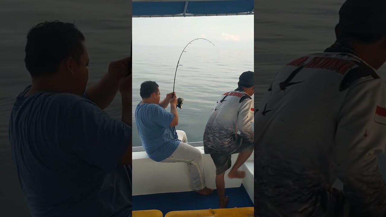 Mantap Lur Mancing Strike Ikan Gt Babon Super Mantap 👍👍👍