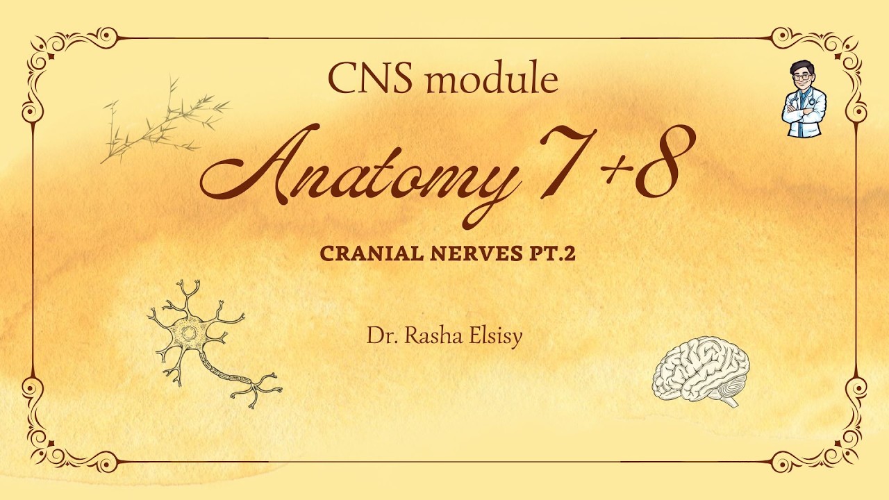 Anatomy CNS Lec 7&8 | Dr Rasha | Rest of the cranial nerves