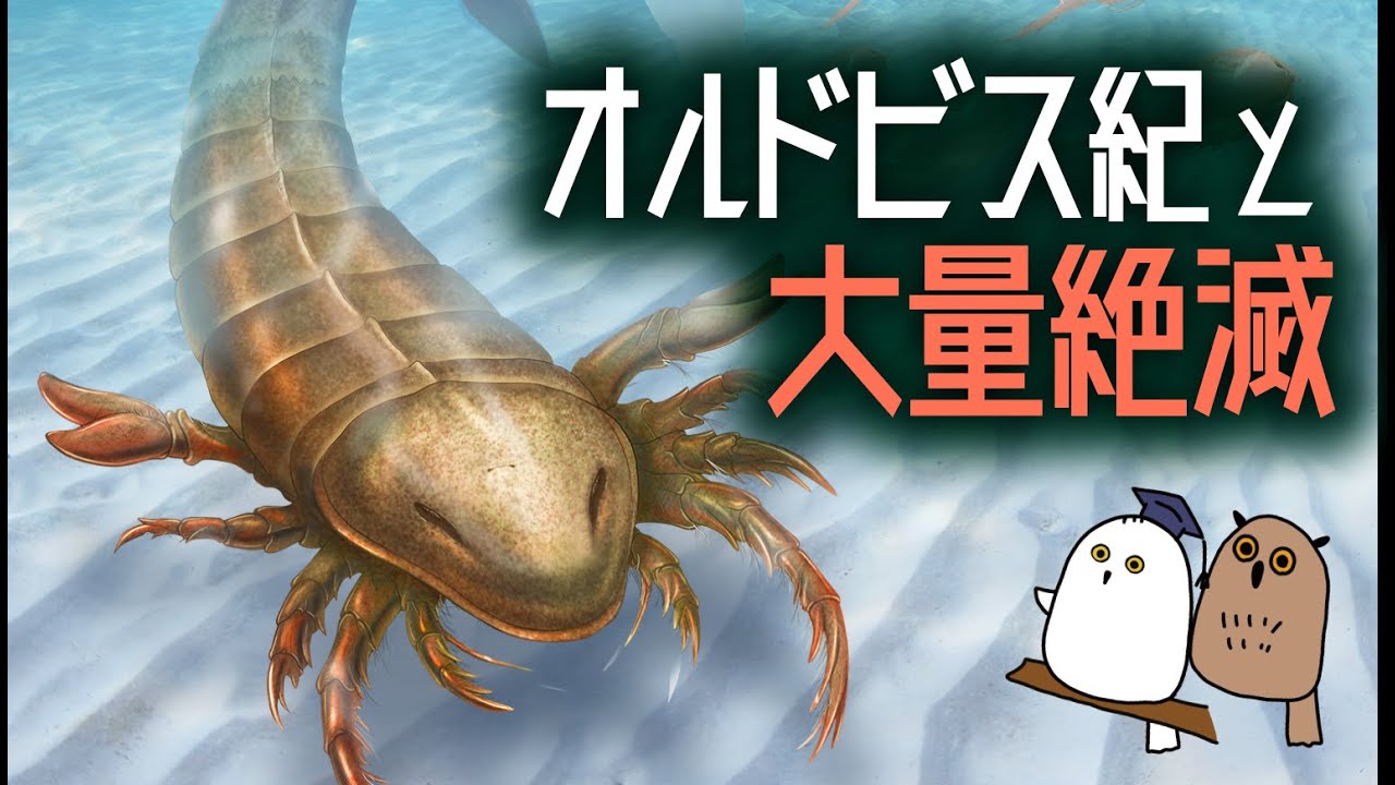 【ゆっくり解説】大量絶滅とオルドビス紀の生物多様化【 古生物 / 科学 / 進化 / 生命の歴史⑨ 】