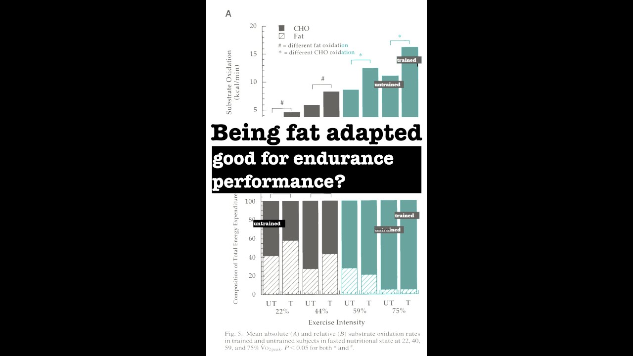 Part 1: Being Fat Adapted, Good for Performance?