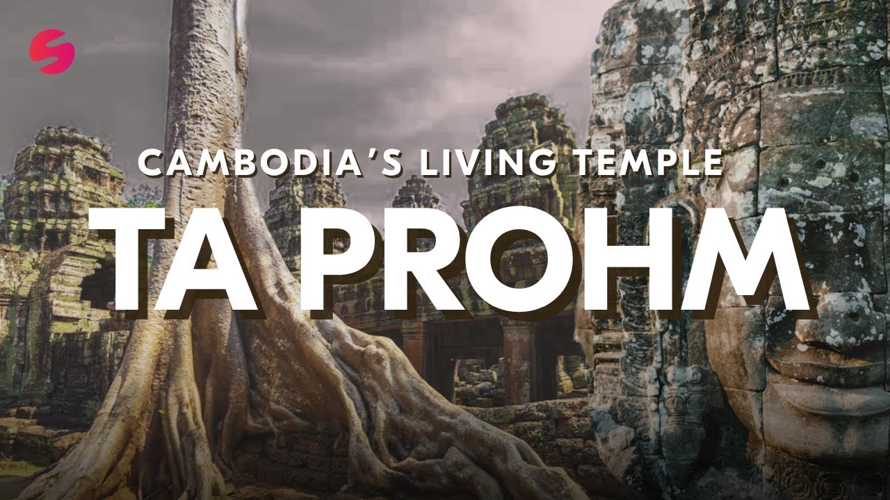 Ta Prohm Temple: A Magical Ruin Every Traveler Must See in 2025