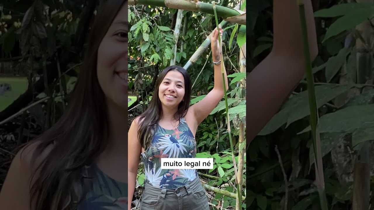 Bambu brasileiro? Conhe&ccedil;a a Taboca!