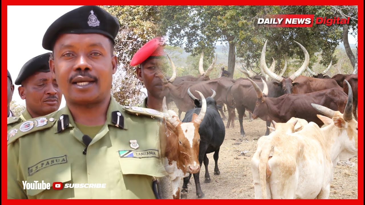 #TAZAMA| 15 WAKAMATWA KWA TUHUMA ZA MAUAJI TUNDURU, KAMANDA PASUA AELEZA