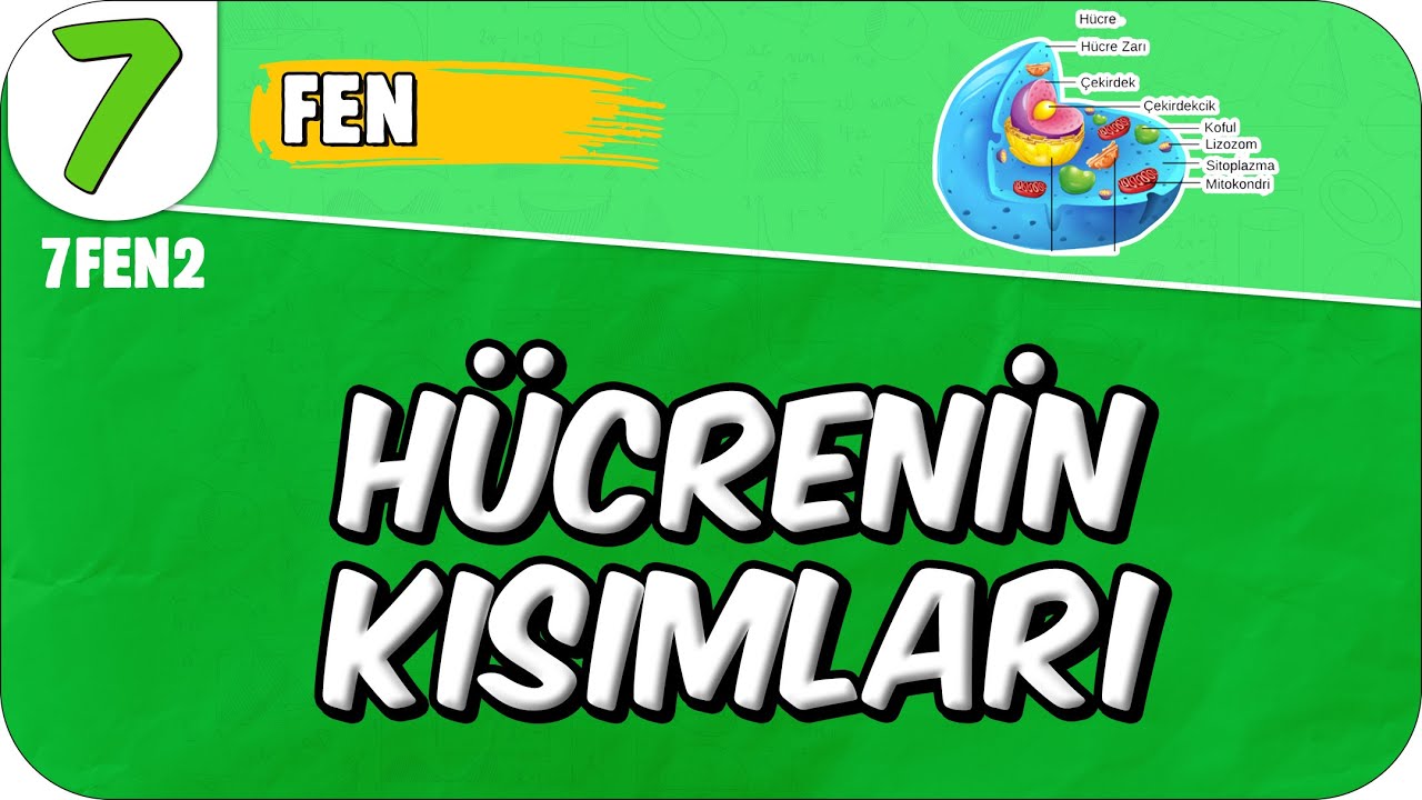 Hücrenin Kısımları ve Geçmişten Günümüze Hücre 📗 7. Sınıf Fen #2025