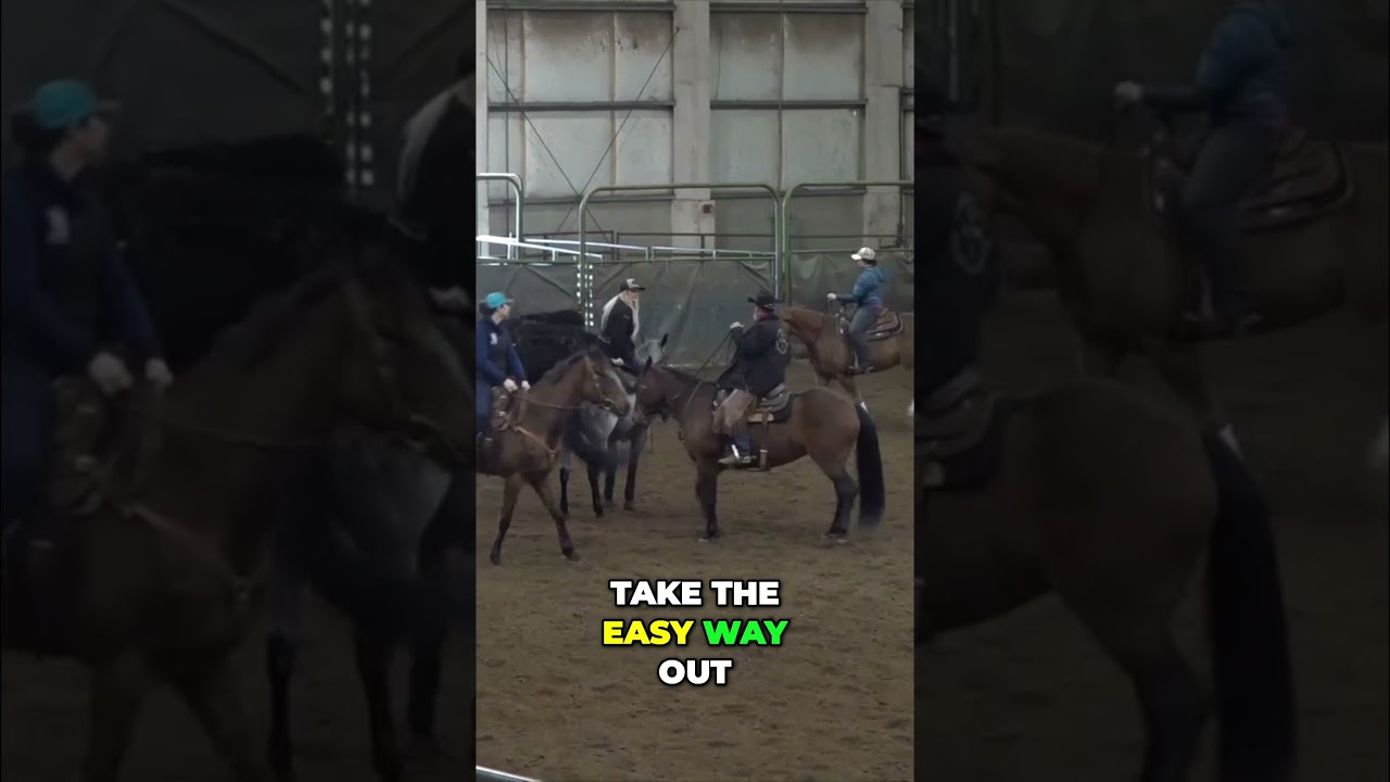 Quick Tip: Easy Way to Herd Cow