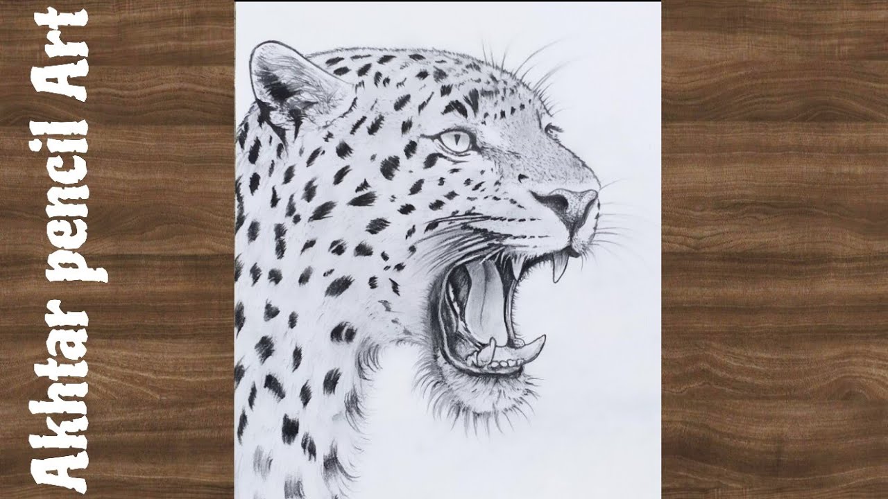How To Draw A Leopard Face Drawing | Leopard Drawing Easy Step By Step 