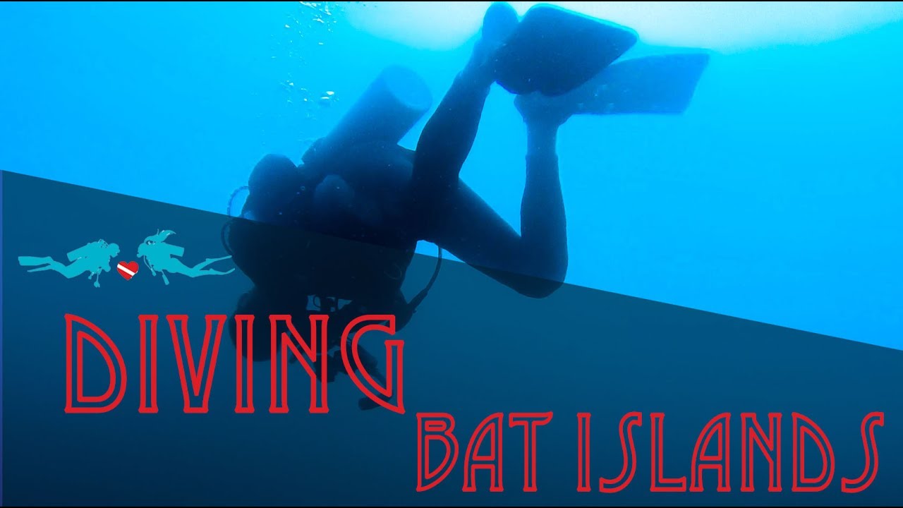 Dive Buddies 4 Life: Costa Rica - Bat Islands Dive
