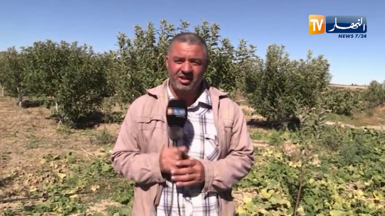 خنشلة: فلاحو 