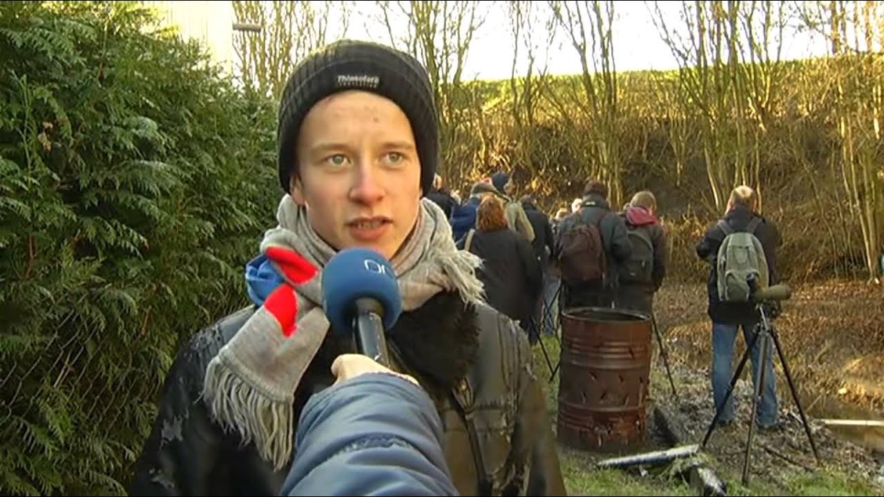 Zeldzame vogel in Beijum trekt tientallen spotters