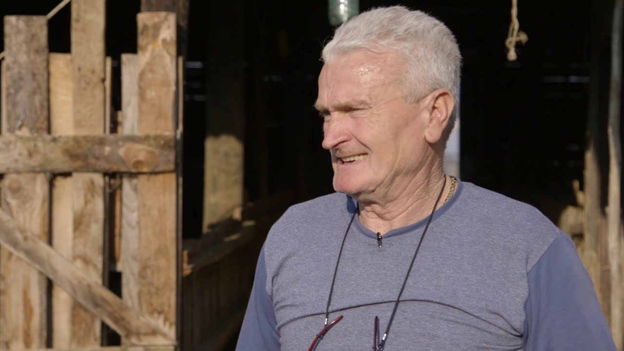 Uzgoj ILe de France ovaca u selu Baluga Ljubicska - U nasem ataru 784