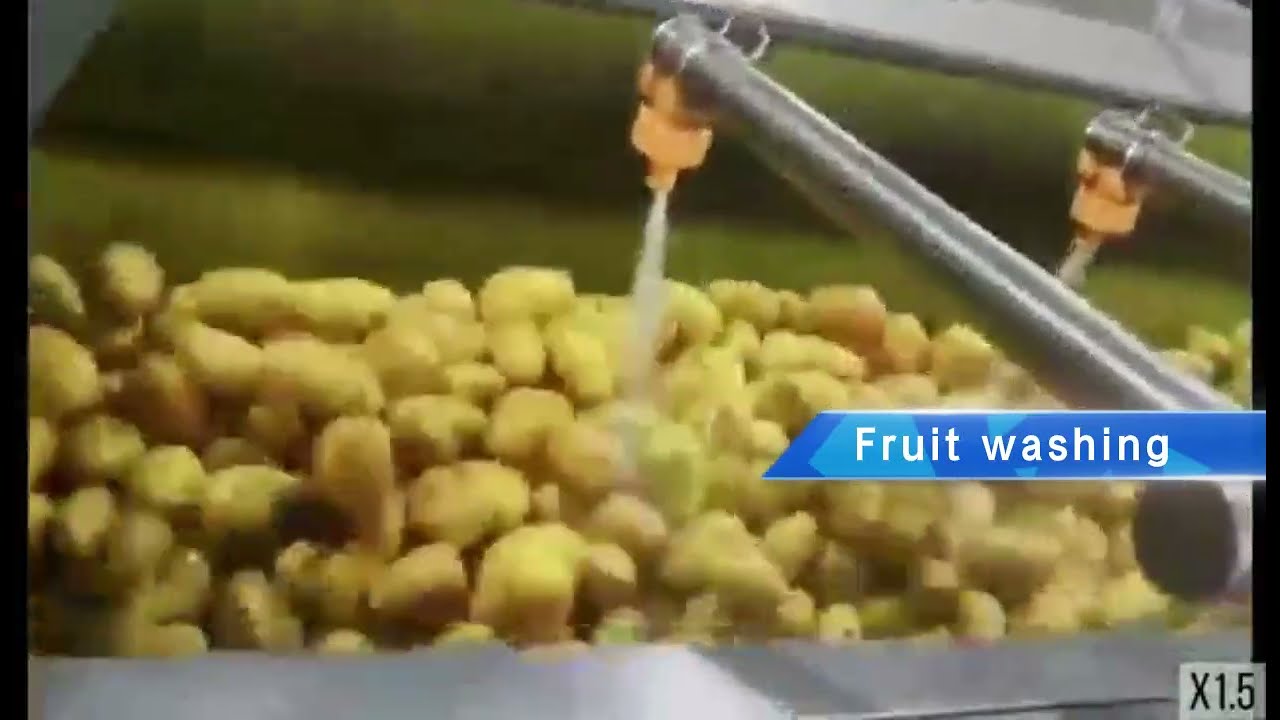 Mango juice production line