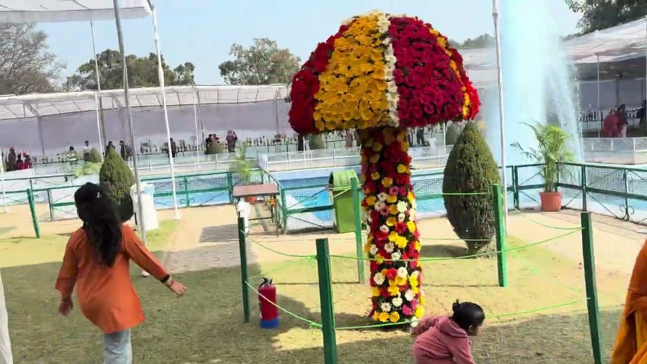 Rose Garden Festival 2026 🌹Beautiful flowers and festival vibes at Zakir Hussain Rose Garden CHD.