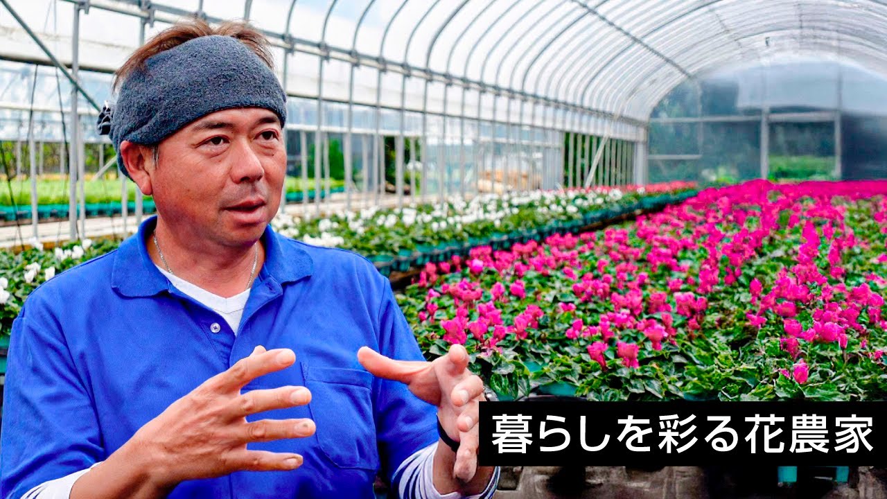 ひらつかシングス VOL.27　暮らしを彩る花農家