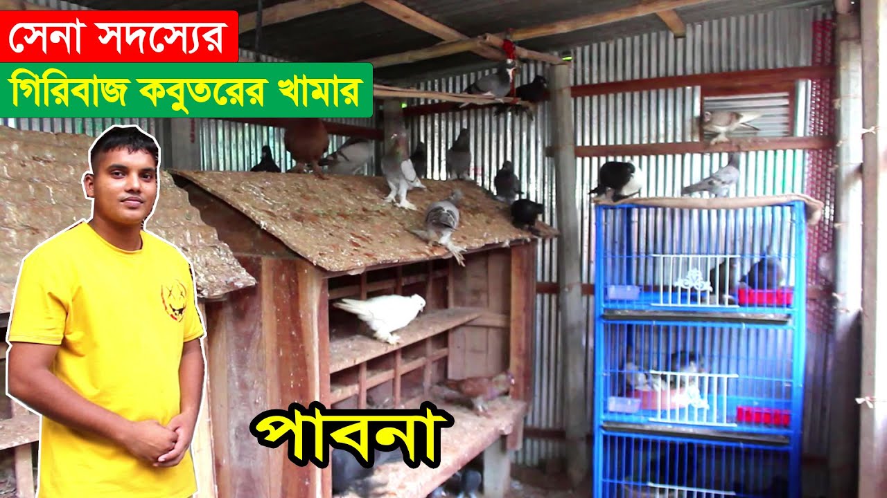 দেশি কবুতর দিয়ে শুরু করে বর্তমানে গিরিবাজ কবুতরের খামার গড়েছেন এই সেনা সদস্যে | BD Pigeon Farm.