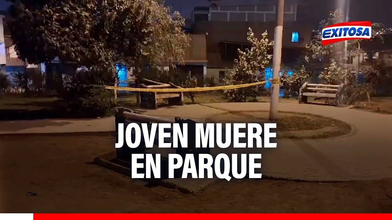 🔴🔵Pánico en SJL: Joven muere cuando estaba con sus amigos en un parque
