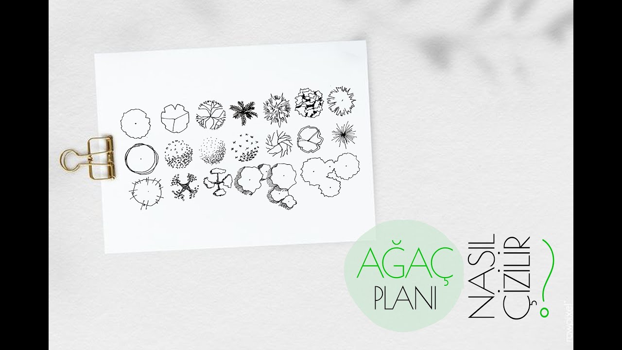 Ağaç planı nasıl çizilir? How to draw plan tree?