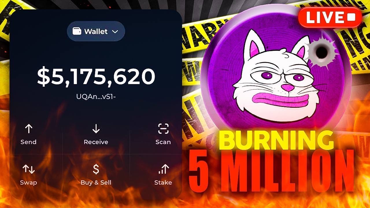 Burning $5,000,000 Of Meme Coins Live