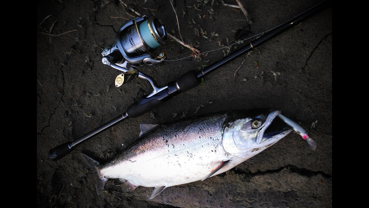 Field test of Yamaga Blanks Bluecurrent 77TZ\NANO Stream Special