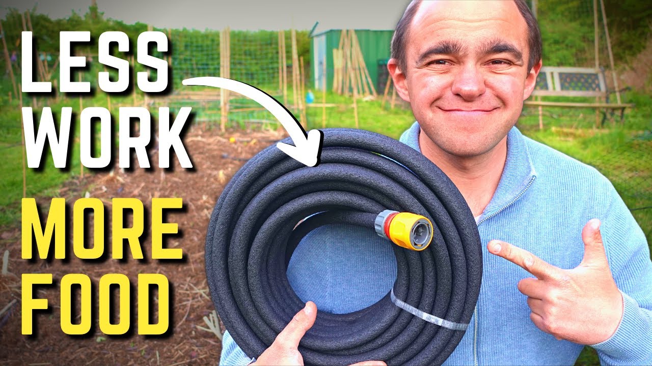 More Food, Healthier Plants, Less Work! Installing A Soaker Hose To Water Your Vegetable Garden