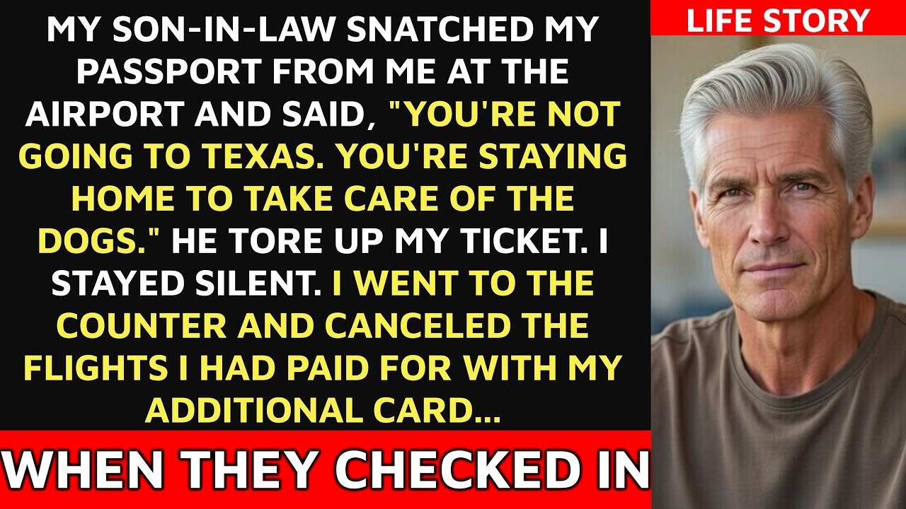 My Son-in-Law Tore Up My Ticket at the Airport: “Take Care o