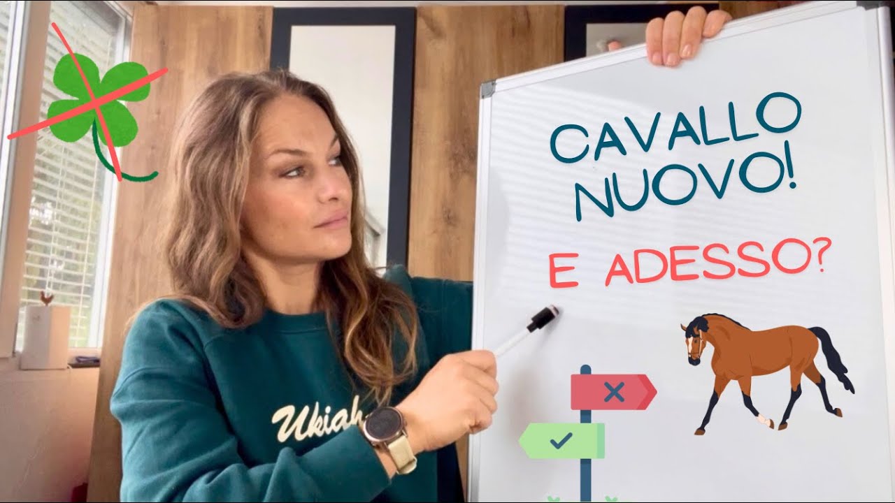 Cavallo nuovo! Cosa può andare storto? Hai ciò che ti serve?