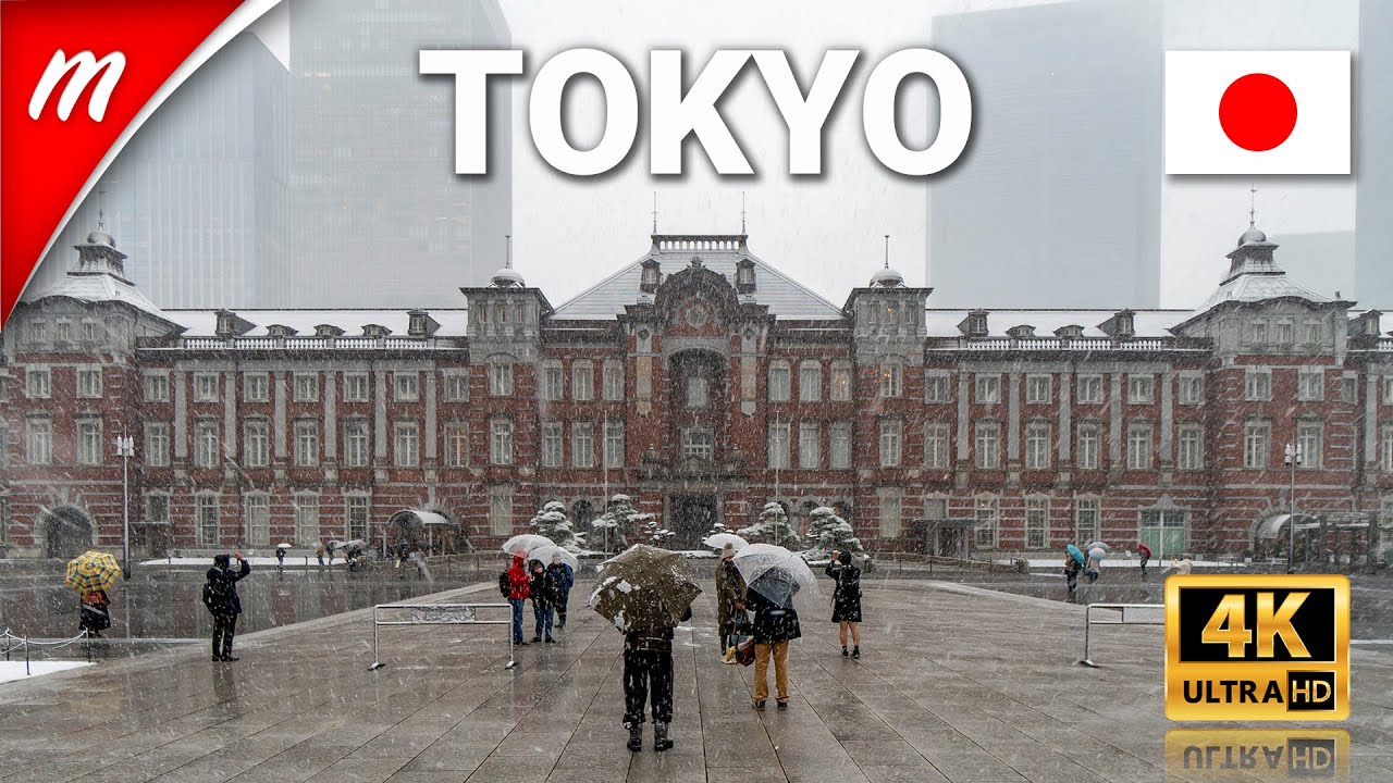 Heavy Snowfall in Tokyo 2022【4K】