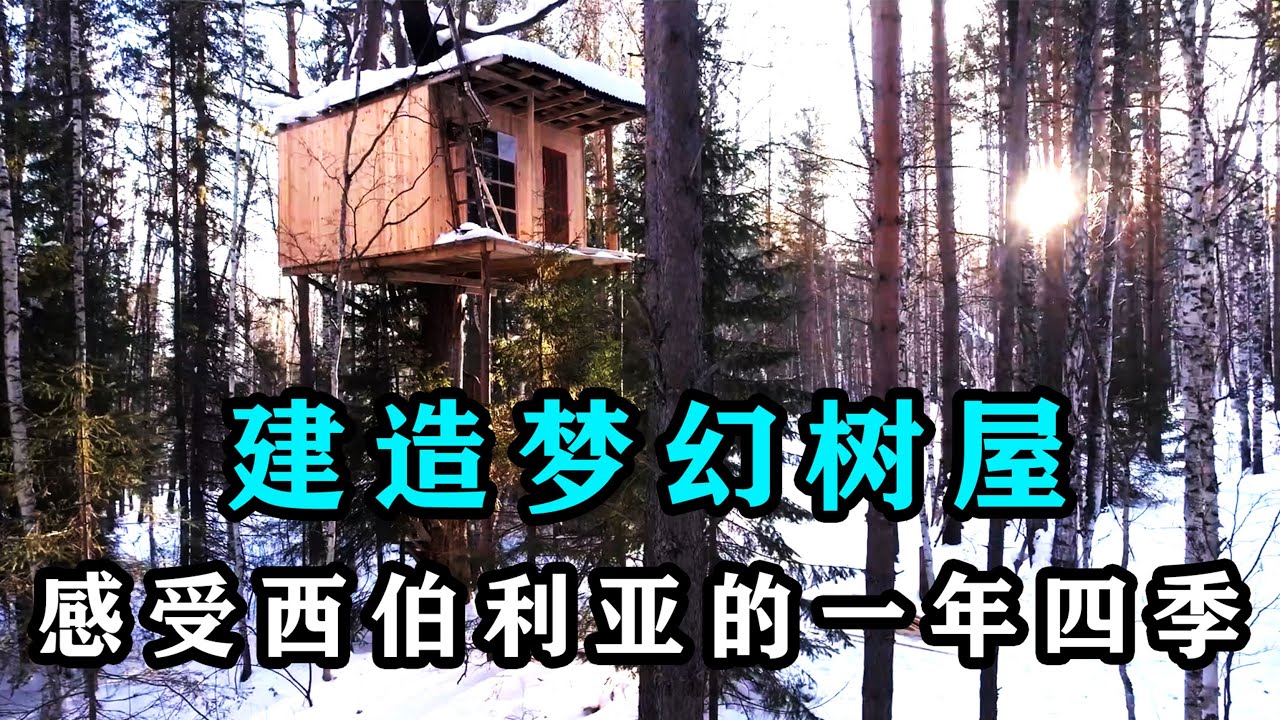 建造梦幻树屋！住在树上是一种什么样的体验，居高临下，视野开阔