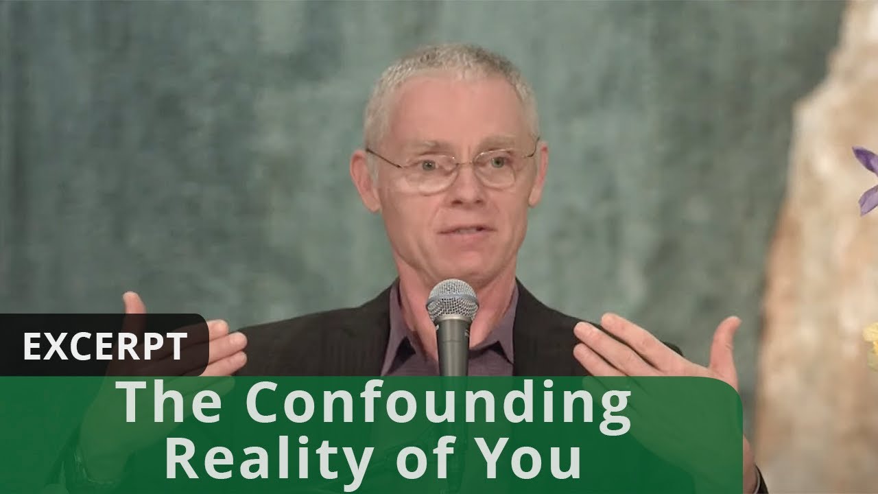 The Confounding Reality of You (Excerpt)