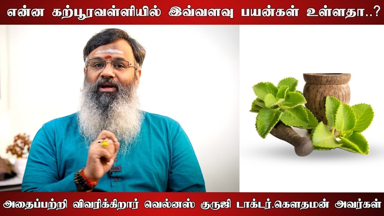 என்ன கற்பூரவள்ளியில் இவ்வளவு பயன்கள் உள்ளதா? Benefits of Karpuravalli! விவரிக்கிறார் வெல்னஸ் குருஜி!