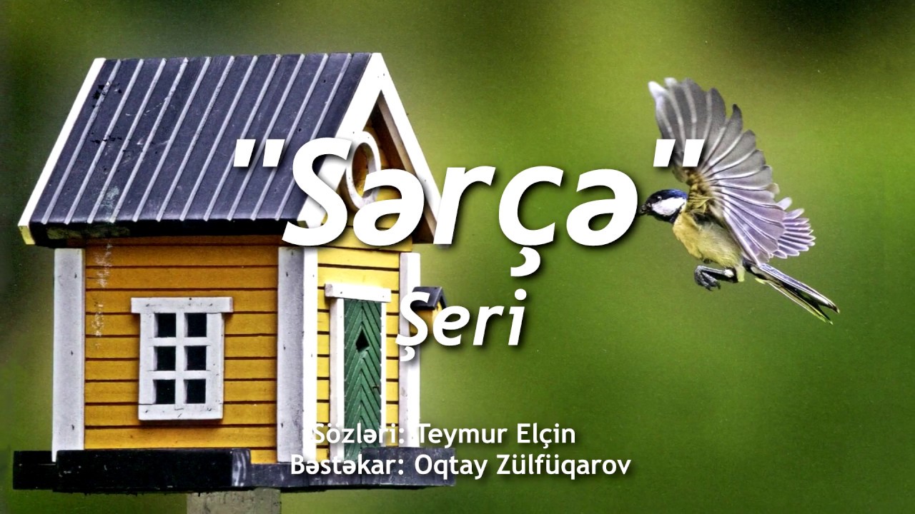 🐦 Sərçə seiri 🐦 Seher seher bagcada 🌾