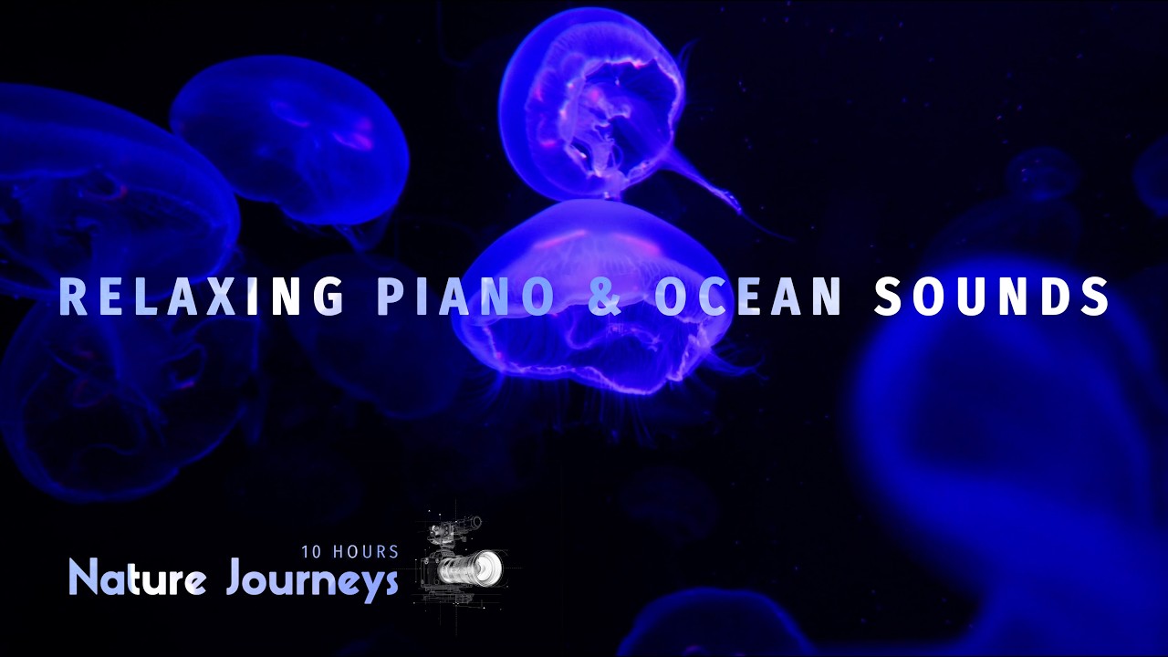 Gentle Ocean Sounds & Soft Piano for Deep Relaxation | Soothing Sounds for Sleep & Deep Relaxation
