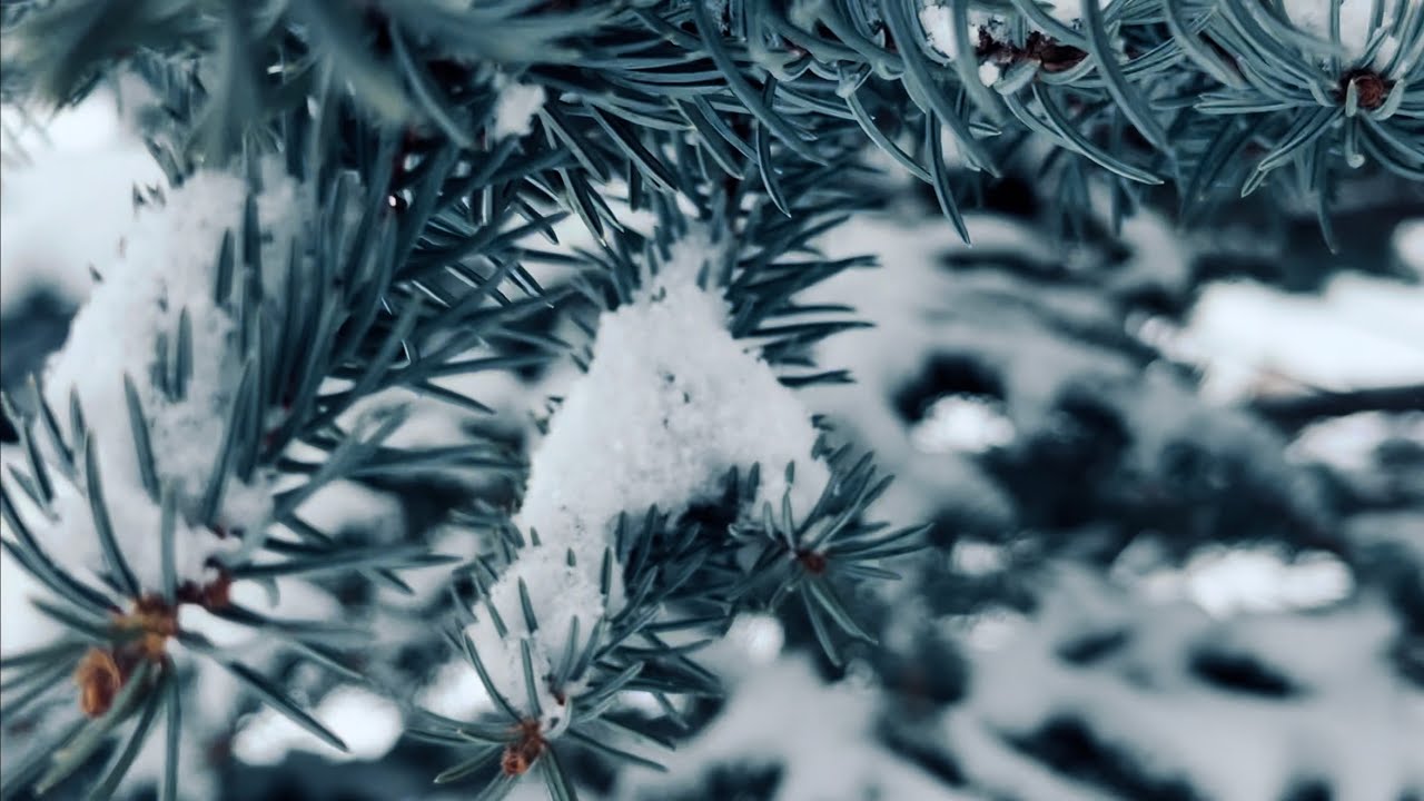 Winter Serenity: 4K Relaxing Nature & Piano Music | Зимнее спокойствие: Релакс и музыка