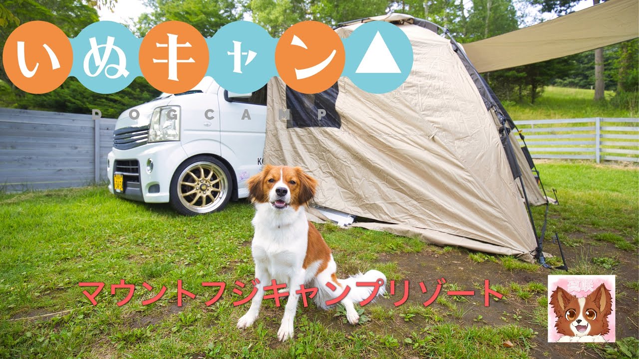 【コーイケルホンディエ】初めてのキャンプに行ってきた