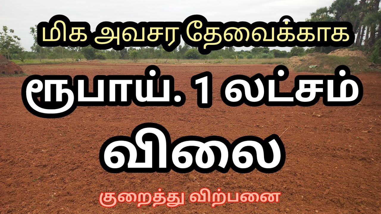 🌴56 சென்ட் இடம் தோப்பு விற்பனைக்கு🪴🚜#farmland #farmhousesale #trending #Lowbudget #agriculture#actor