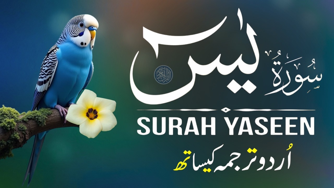 Surah Yaseen with Urdu Translation | Beautiful Recitation by Qari Mansoor Ghaznavi | Ep0030