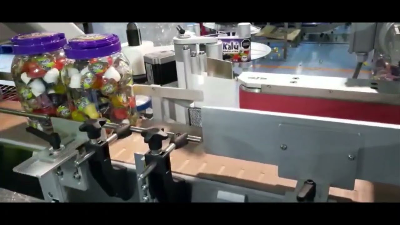 Labeling system for Wrap Around and Front and Back application for Food Industry
