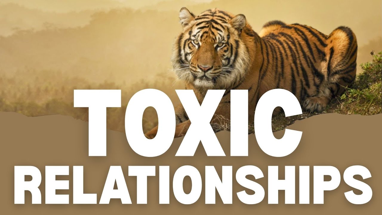 How to Recognize Toxic Relationships Before They Hurt You