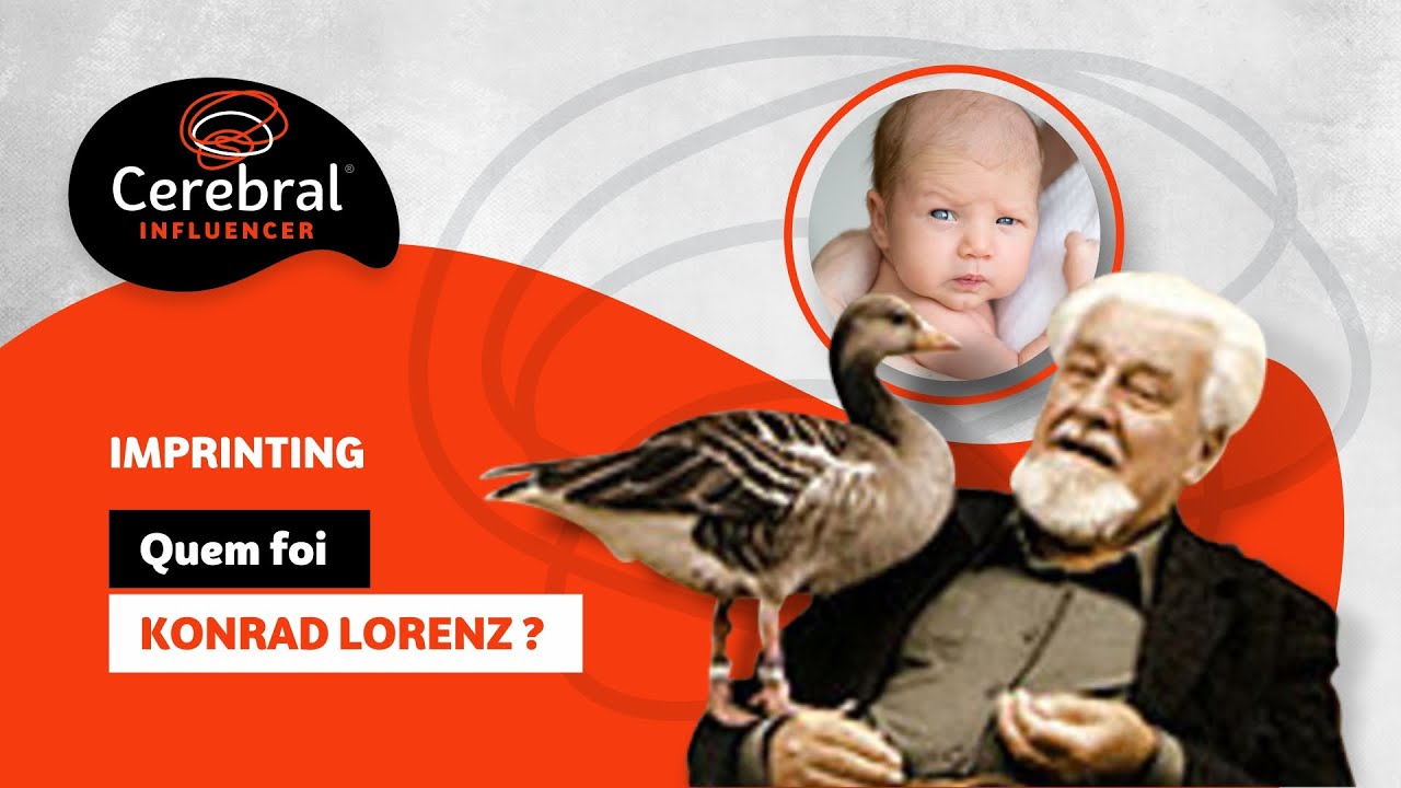 Quem foi Konrad Lorenz ? Imprinting (Cerebral Influencer)