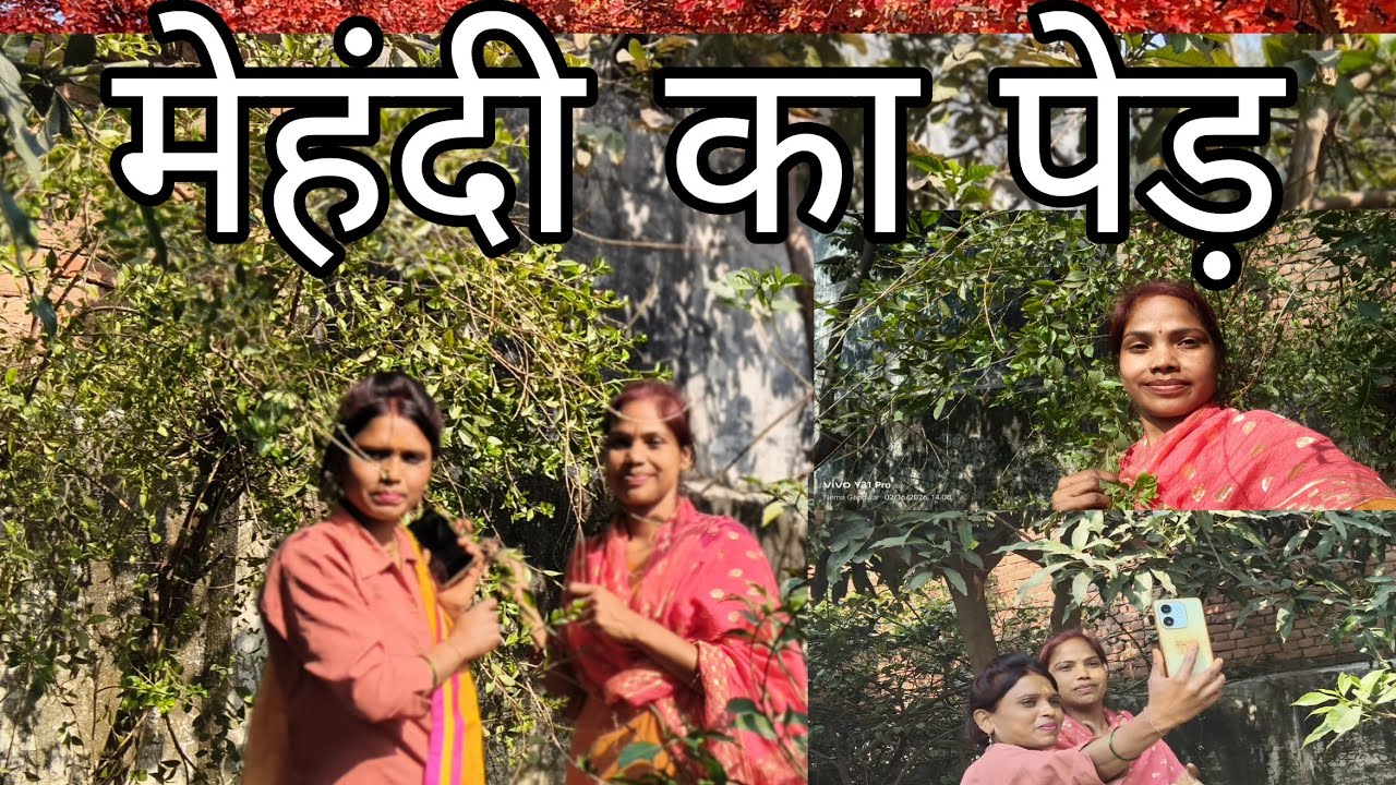 हम गए मेहंदी तोड़ने ||