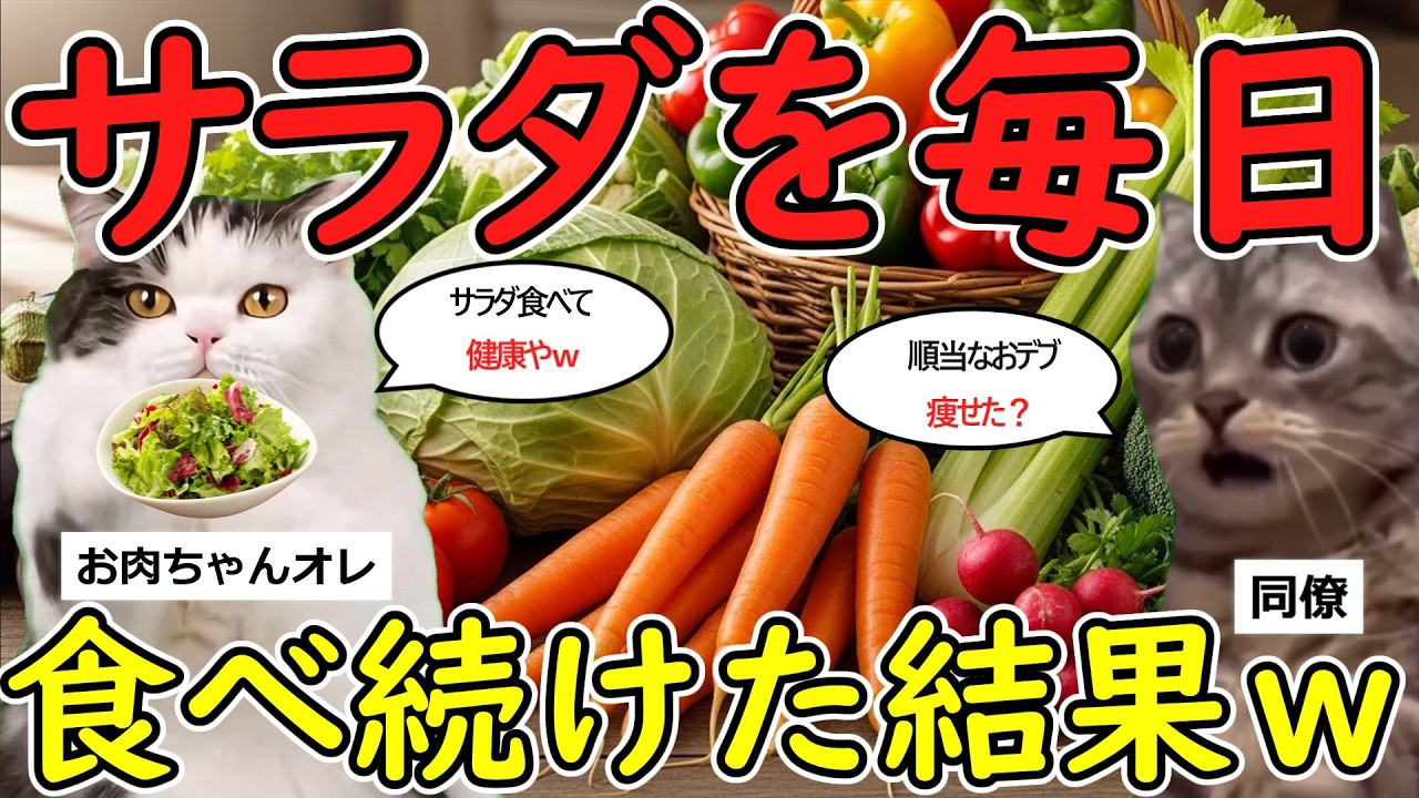 【驚愕】サラダを毎日１キロ食べ続けた結果ｗｗ【猫ミーム】