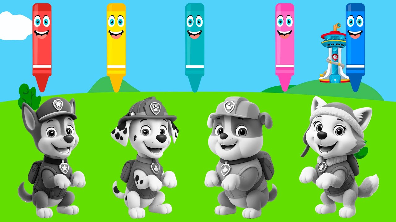 Paw Patrol Dress Up & Learn Colors! | Kids Coloring with Chase & Friends