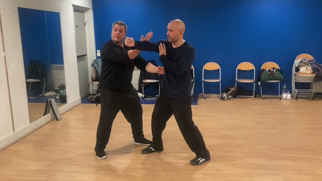 wing chun kung fu et d&eacute;veloppement martial.