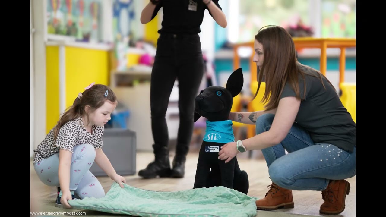 Fundacja Working Dogs - Pomagaj